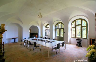 Château à vendre Praha, okres Hlavní město Praha, Grande salle