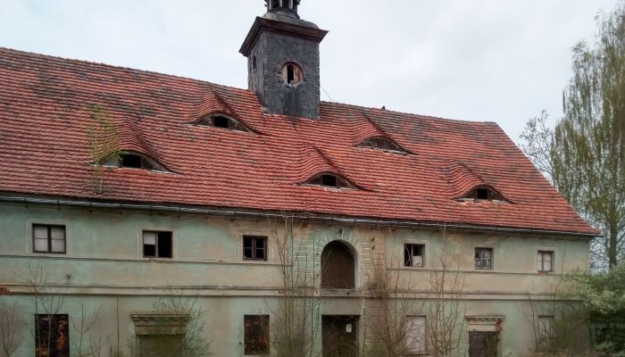 Manoir à vendre Namysłów, Opole,  Pologne