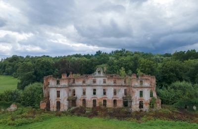 Château à vendre Słobity, Varmie-Mazurie, Vue frontale