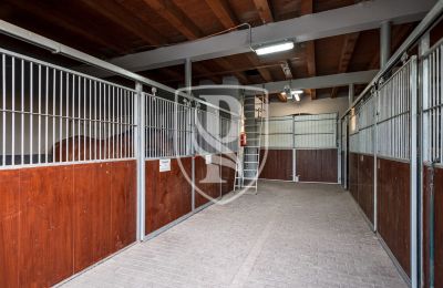 Manoir à vendre Przedbórz, Łódź, Image 41/42
