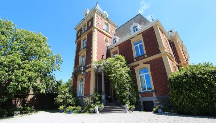 Château à vendre Fays, Wallonie,  Belgique