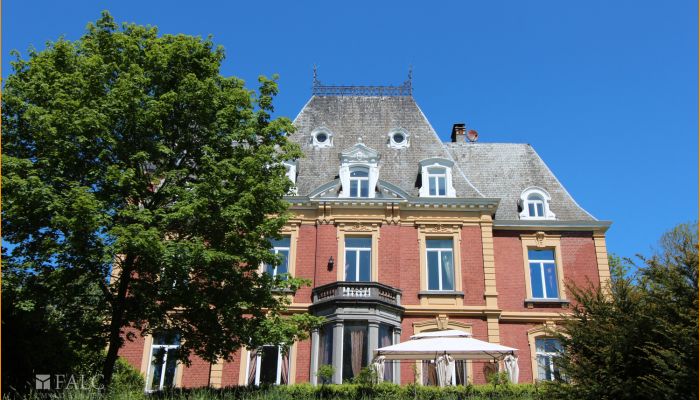 Chateaux a vendre Belgique