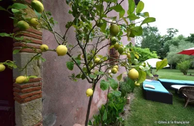 Château à vendre 31000 Toulouse, Occitanie:  