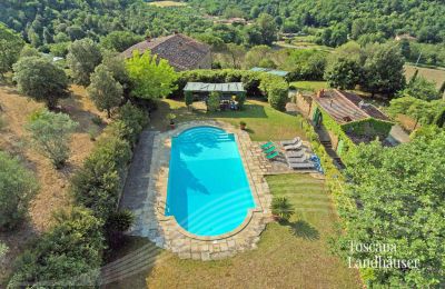 Maison de campagne à vendre Arezzo, Toscane:  RIF 2993 Blick auf Pool und Anwesen