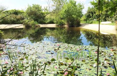 Manoir à vendre Gémozac, Nouvelle-Aquitaine:  Der Teich mit Sandstrand