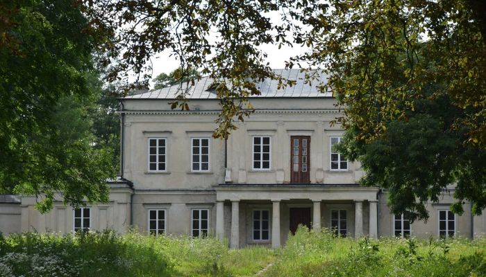 Château à vendre Dołhobyczów, Voïvodie de Lublin,  Pologne