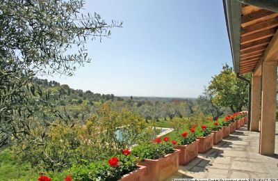 Maison acheter  Castagneto Carducci:  RIF 2504 Panoramablick zum Meer