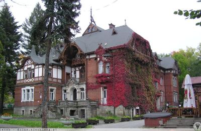 Demeure historique à vendre Kudowa-Zdrój, Zdrojowa 36, Basse-Silésie,, Image 4/6