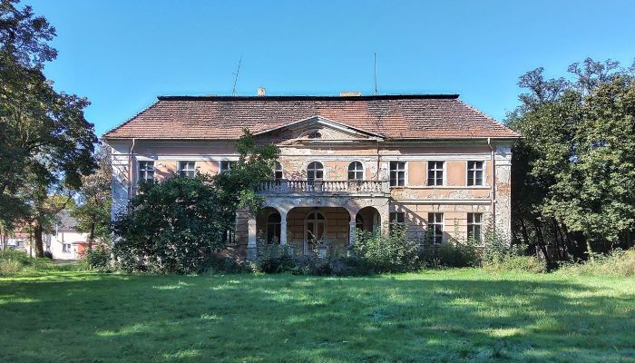 Manoir néoclassique à vendre, Wielkopolska