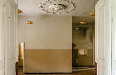 Château à vendre Granówko, Grande-Pologne, Photo intérieur