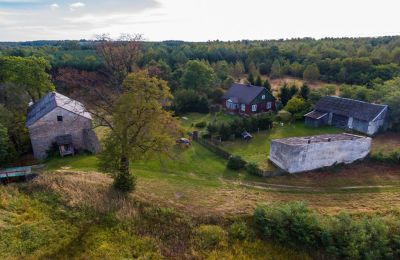 Moulin à vendre Pawłów, Mazovie:  