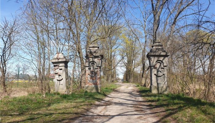 Parc historique Dębe Wielkie 1