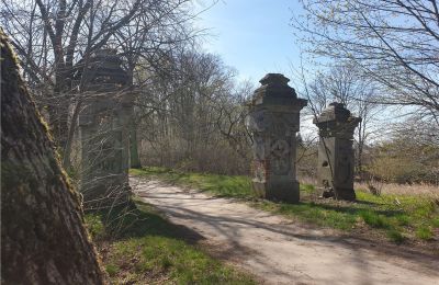 Parc historique à vendre Dębe Wielkie, Ruda, Mazovie:  