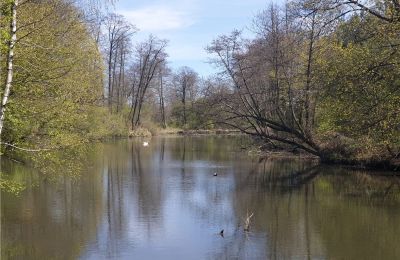 Parc historique à vendre Dębe Wielkie, Ruda, Mazovie:  