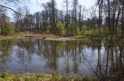 Parc historique à vendre Dębe Wielkie, Ruda, Mazovie:  