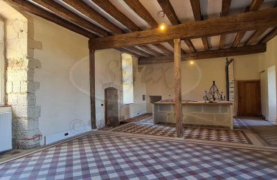 Immobilier historique à vendre Indre-et-Loire:  