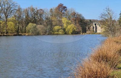 Immobilier historique à vendre Ille-et-Vilaine:  