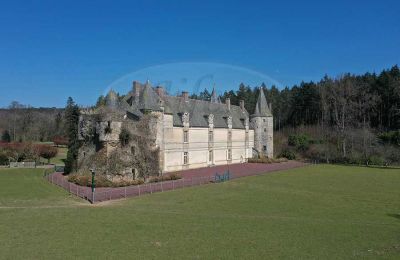 Immobilier historique à vendre Ille-et-Vilaine:  