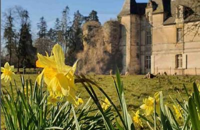 Immobilier historique à vendre Ille-et-Vilaine:  