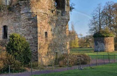 Immobilier historique à vendre Ille-et-Vilaine:  