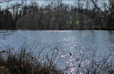 Immobilier historique à vendre Ille-et-Vilaine:  