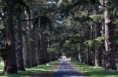 Immobilier historique à vendre Lot-et-Garonne:  