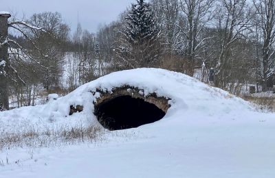 Manoir à vendre Gatarta, Gatartas Muiža, Vidzeme:  Cave