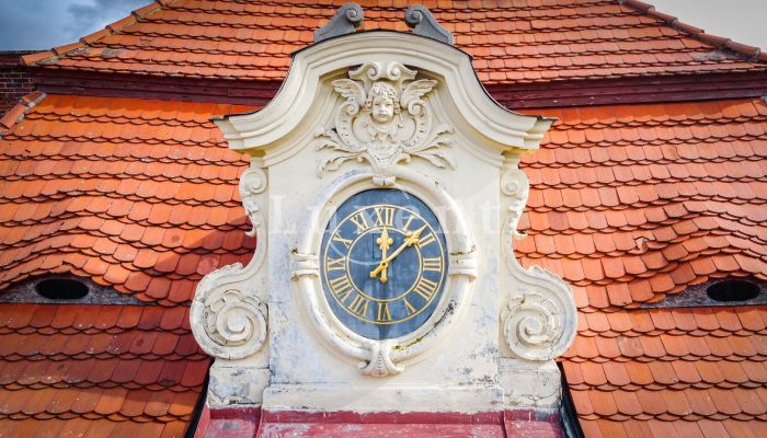 Château à vendre Mirošov, Plzeňský kraj,  République tchèque
