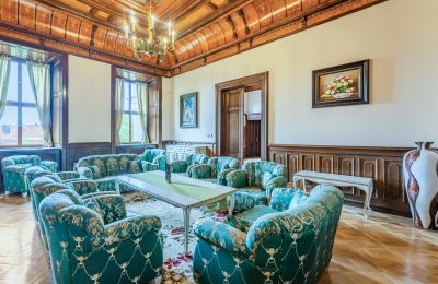 Château à vendre Mirošov, Zámek Mirošov, okres Rokycany, Image 11/32