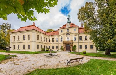 Château à vendre Mirošov, Zámek Mirošov, Plzeňský kraj, Jardin
