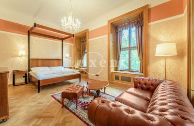 Château à vendre Mirošov, Zámek Mirošov, Plzeňský kraj, Image 15/30