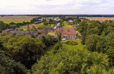 Château à vendre Przybysław, Poméranie occidentale, Parc