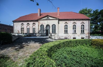 Château à vendre Przybysław, Poméranie occidentale, Terrasse