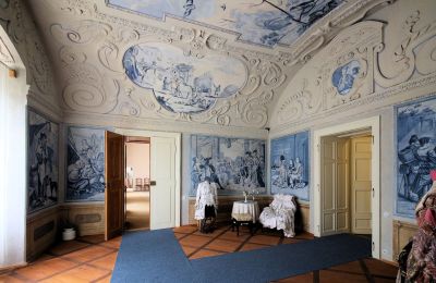 Château à vendre Hlavní město Praha, Détails