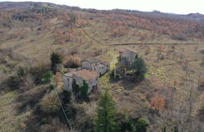 Ferme à vendre 06019 Umbertide, Ombrie:  