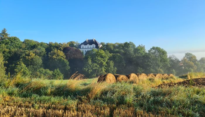 Château à vendre Piszkowice, Basse-Silésie,  Pologne