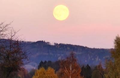 Château à vendre Piszkowice, Basse-Silésie, Okokica