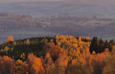 Château à vendre Piszkowice, Basse-Silésie, Image 24/28