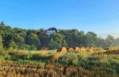 Château Piszkowice, Basse-Silésie