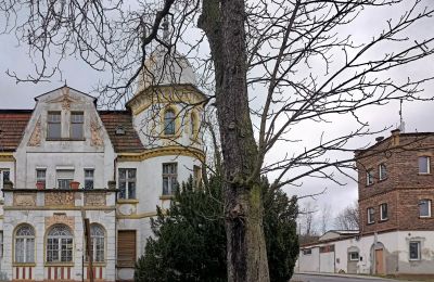 Villa historique à vendre Tuplice, Lubusz:  