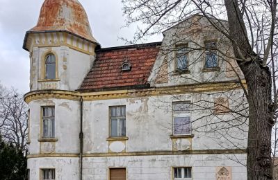 Villa historique à vendre Tuplice, Lubusz:  Vue latérale