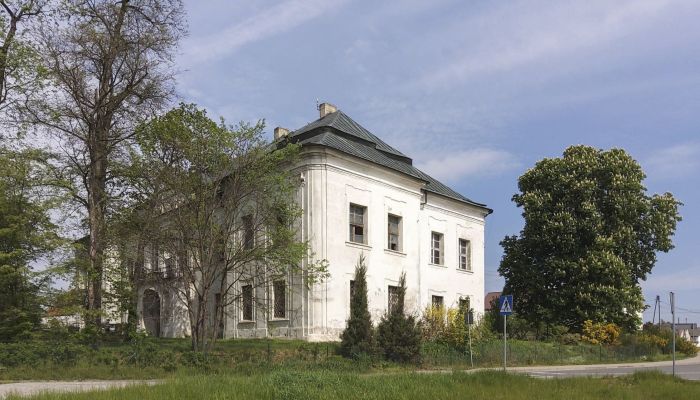 Château à vendre Pisarzowice, Opole,  Pologne