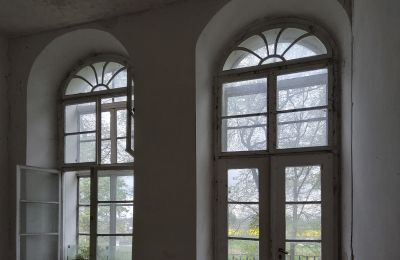 Château à vendre Pisarzowice, Opole, Image 13/17