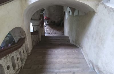 Château à vendre Pisarzowice, Opole, Image 11/17