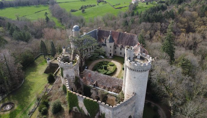 Château à vendre Veauce, Auvergne-Rhône-Alpes,  France
