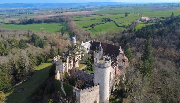 Château à vendre Veauce, Auvergne-Rhône-Alpes,  France
