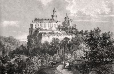 Château à vendre Veauce, Auvergne-Rhône-Alpes, Vue historique