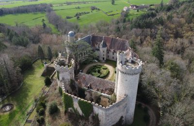 Château à vendre Veauce, Auvergne-Rhône-Alpes, Vue extérieure