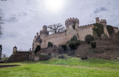 Château à vendre Veauce, Auvergne-Rhône-Alpes, Image 3/10