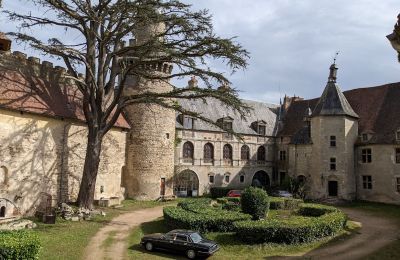 Château à vendre Veauce, Auvergne-Rhône-Alpes, Image 4/10